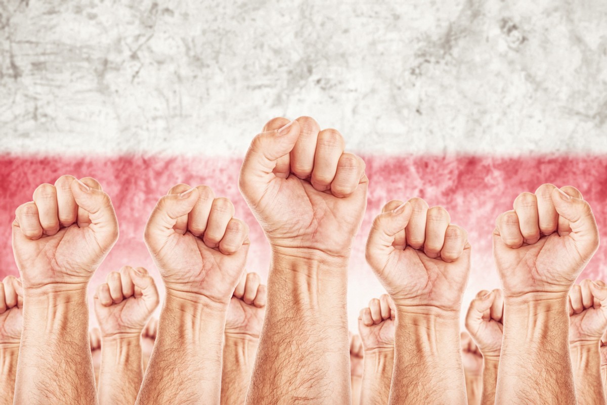 Powszechnie dominująca interpretacja jest taka, że głównym powodem rosnącej siły ruchów populistycznych jest rozczarowanie globalizacją wśród klasy średniej krajów rozwiniętych