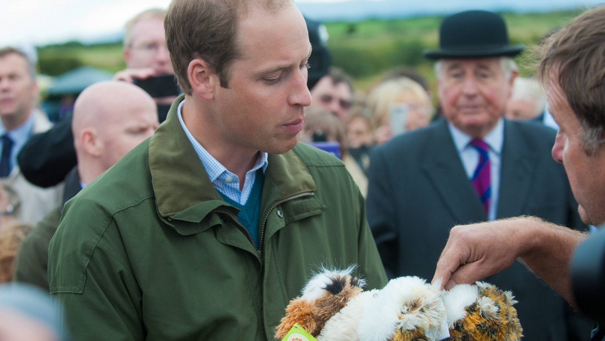 Książę William, który trzy tygodnie temu został szczęśliwym ojcem, podjął swe oficjalne obowiązki jako członek brytyjskiej rodziny królewskiej. Odwiedził wystawę rolniczą na walijskiej wyspie Anglesey.