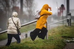 Sztorm Ciaran. Ponad pół miliona gospodarstw domowych we Francji wciąż nie ma prądu