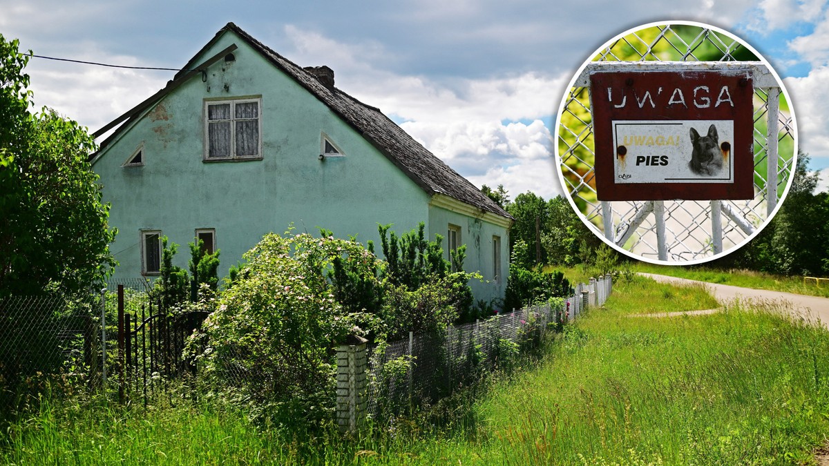 Była poważaną nauczycielką. Teraz odpowiada za gehennę rodzeństwa. "Biała bluzka, żakiecik"