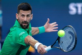 Novak pravi spektakl u Majamiju, a svi na meču gledaju u OVU LEPOTICU: Od izgleda zanosne brinete zastaje dah, ukrala svu pažnju i to je tako