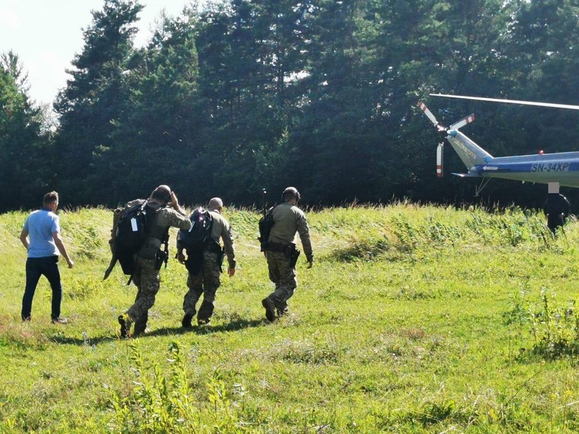 Policjanci i antyterroryści szukają pumy w lasach Ogrodzieńca!