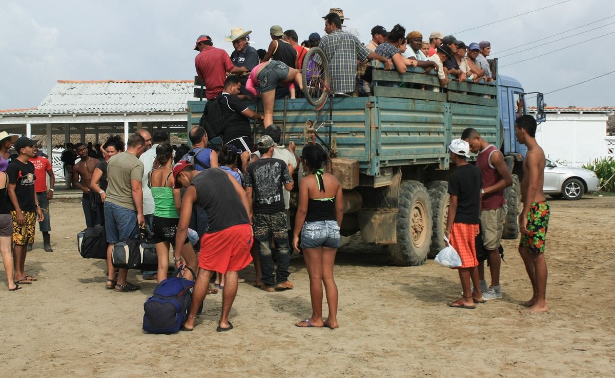 Migranci
