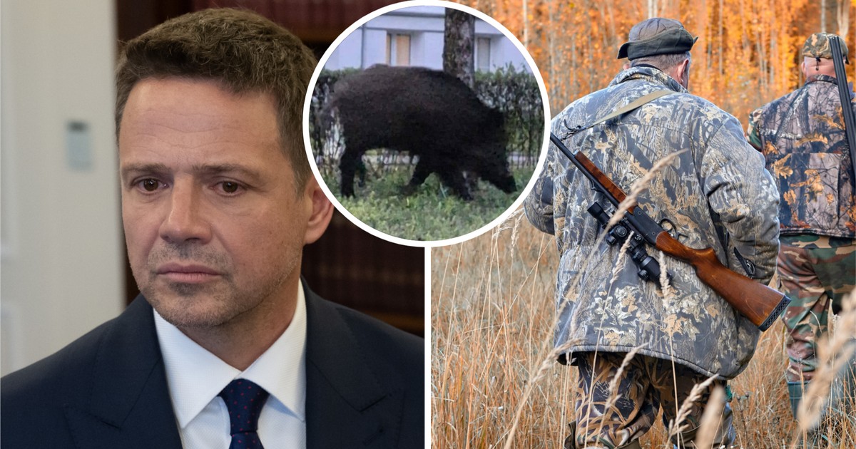 Dziki w Warszawie