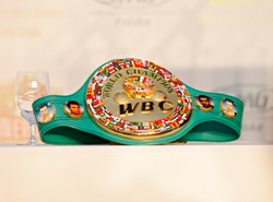 Hopkins odzyskał pas mistrzowski WBC