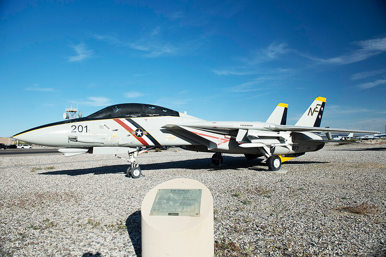 F-14 Tomcat (pierwszy lot: 1970 r.)