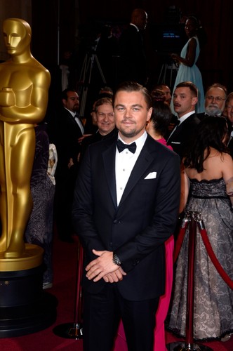 Leonardo DiCaprio na gali Oscarów 2014