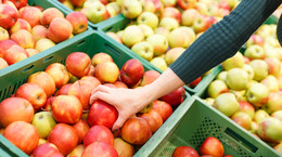 Jabłko - składniki odżywcze i właściwości. Odmiany jabłek