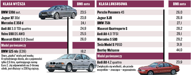 Body Mass Index dla samochodów