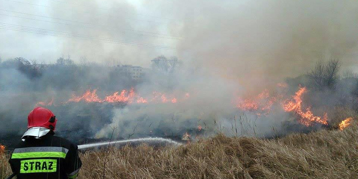 Strażacy ostrzegają przed wypalaniem traw