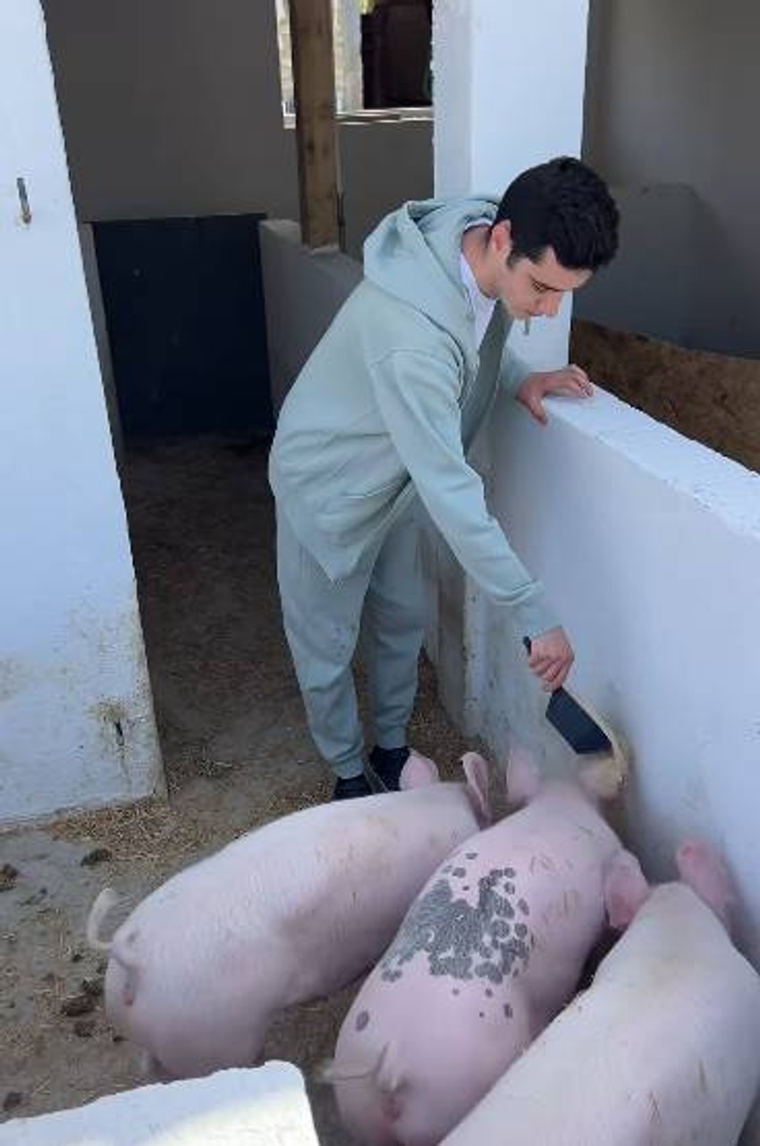 Branko Babić, objava