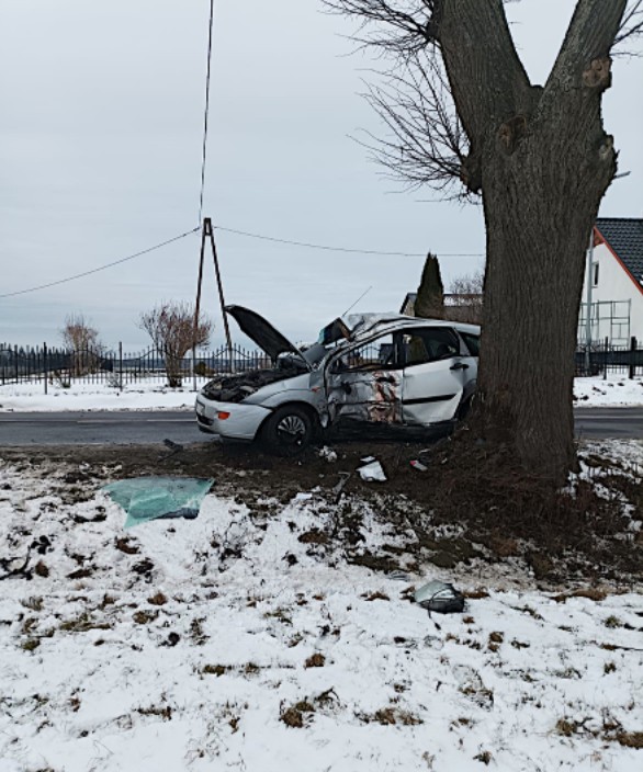 Tak wyglądał Ford po uderzeniu w drzewo