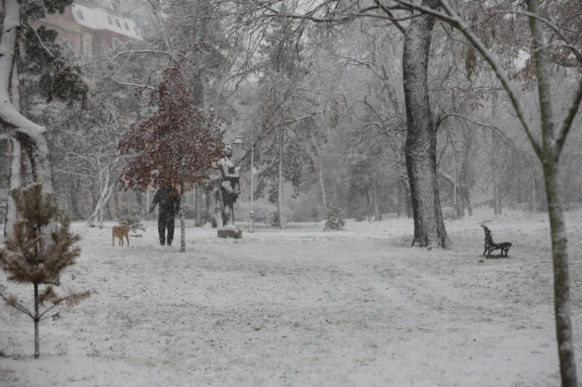 Sneg u Beogradu