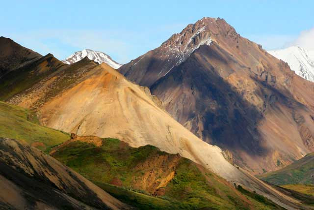 Galeria USA - Park Narodowy Denali, obrazek 5