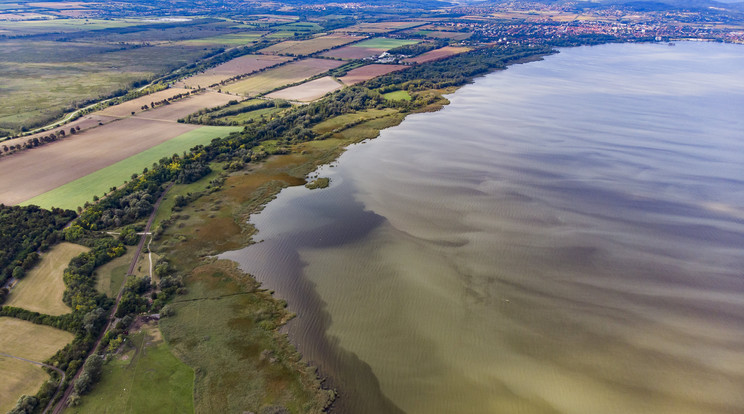 A lehűlés megállította az algák szaporodását a Balatonban /Fotó: MTI/Varga György