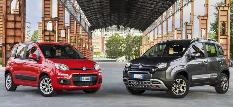 Fiat wstrzyma produkcję Pandy