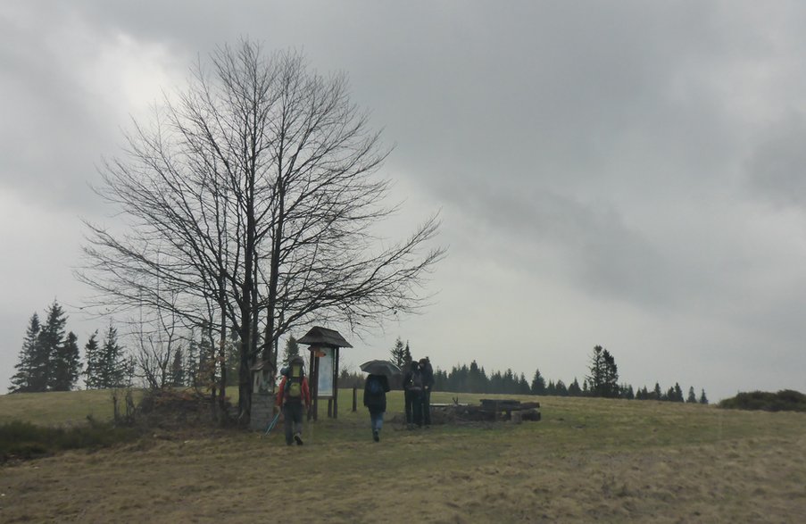 Parasol pozwala zachować wolne ręce podczas wędrówek