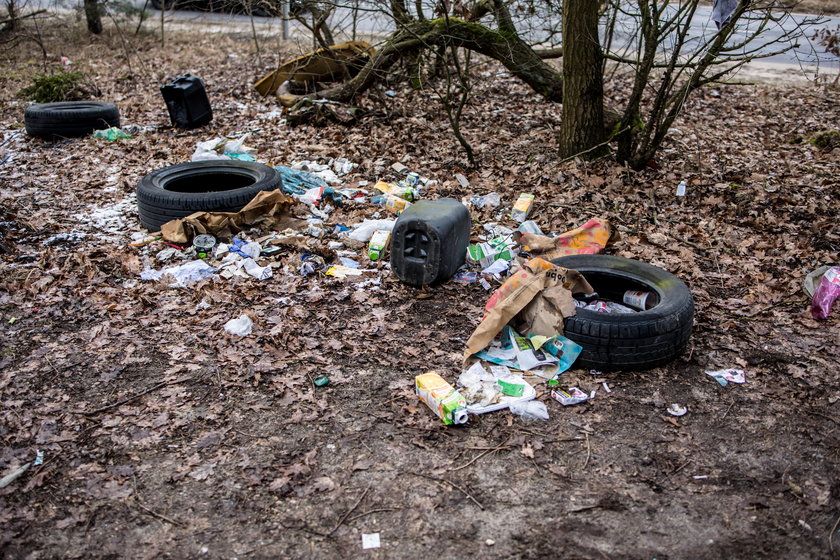 Raport roczny straży miejskiej