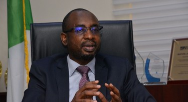 Younger female entrepreneurs more educated than male counterparts – NITDA boss