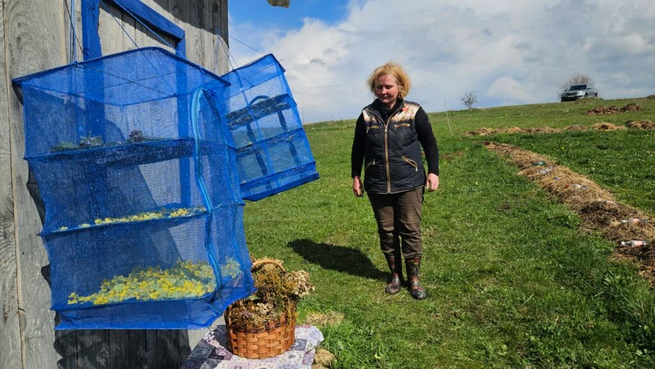 Irina na Kamenoj Gori