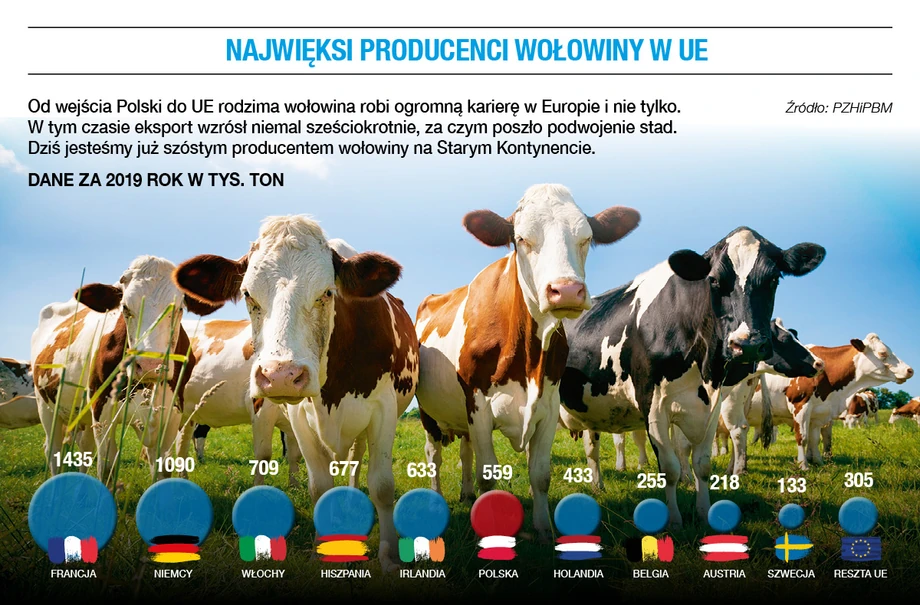 Najwięksi producenci wołowiny w UE