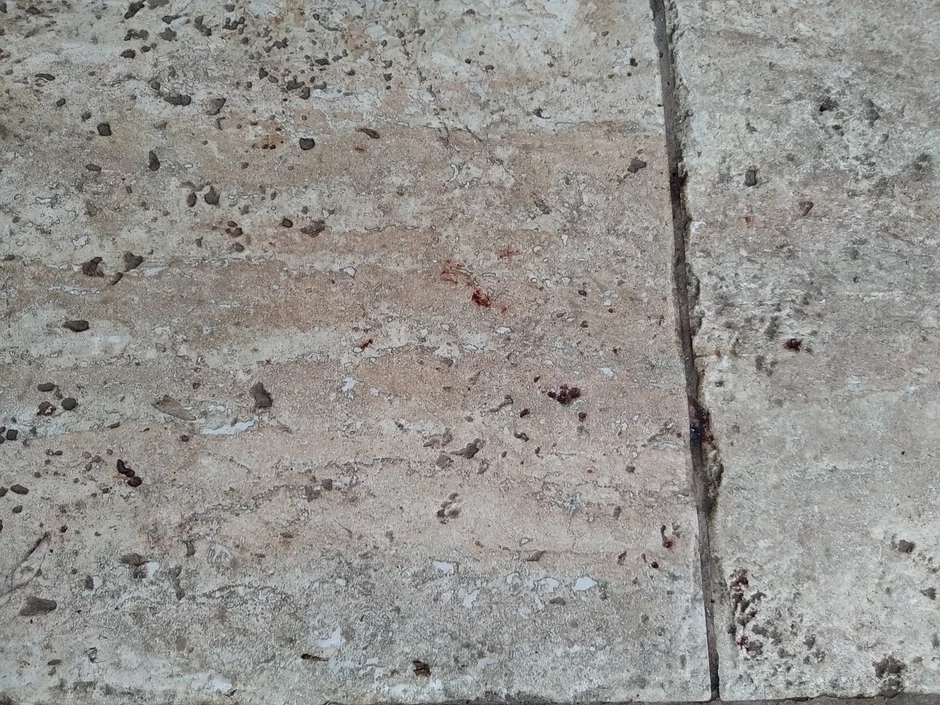 Tragovi krvi na pločama