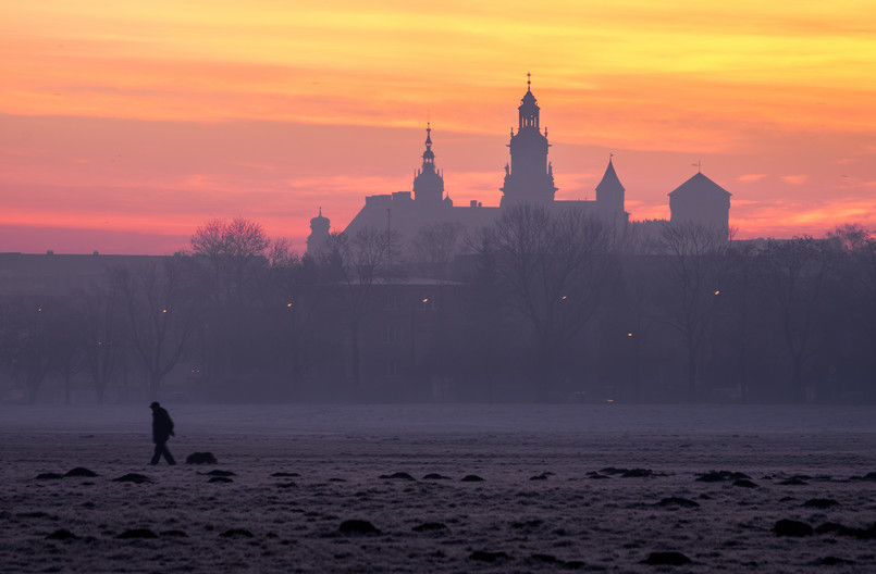 Błonia, Kraków