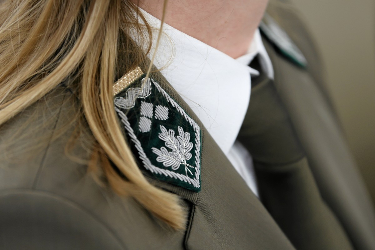 Zatrzymano trzech byłych dyrektorów Lasów Państwowych