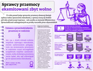 Sprawcy przemocy eksmitowani zbyt wolno