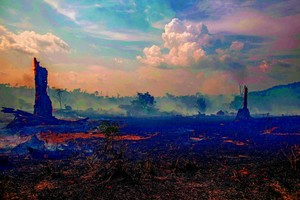 Katastrofa klimatyczna. Wielkie koncerny przez lata ignorowały ostrzeżenia klimatologów i ekologów