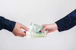 To, ilu ubezpieczonych płatnik zgłosi do ubezpieczenia chorobowego na 30 listopada, zdecyduje o jego obowiązkach