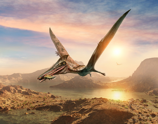 Paleontolodzy odkryli nowy gatunek pterozaura