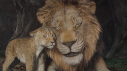 Kosztował 200 milionów, zarobił trzy razy tyle. Megahit wchodzi na VOD