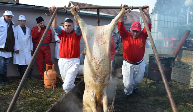 Zašto se svinjokolj ipak isplati