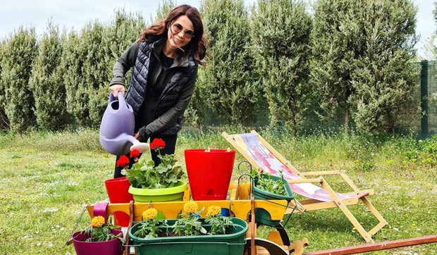 Jelena Bačić Alimpić