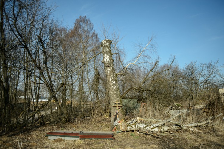 Miejsce katastrofy prezydenckiego tupolewa w Smoleńsku