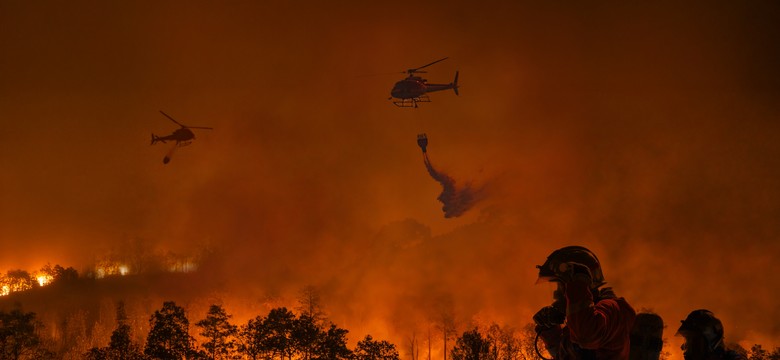 Przerażająca przepowiednia siostry Łucji. "Zginą miliony". Które kraje będą zagrożone?