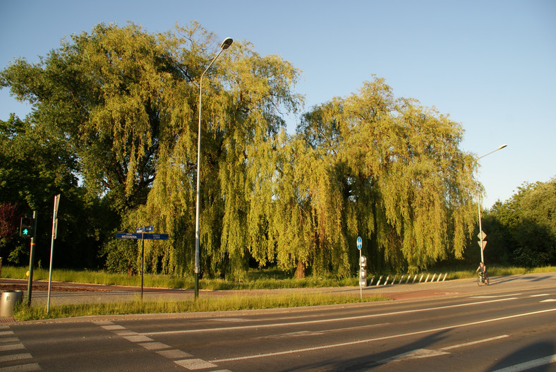 Park Lotników