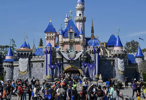 Disneyland będzie dawał dożywotnie zakazy wstępu. Chodzi o jedną grupę osób