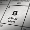 Bor se nalazi u mnogim namirnicama biljnog porekla