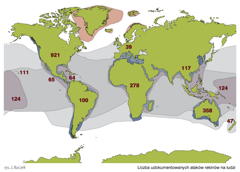 Liczba udokumentowanych ataków rekinów na ludzi