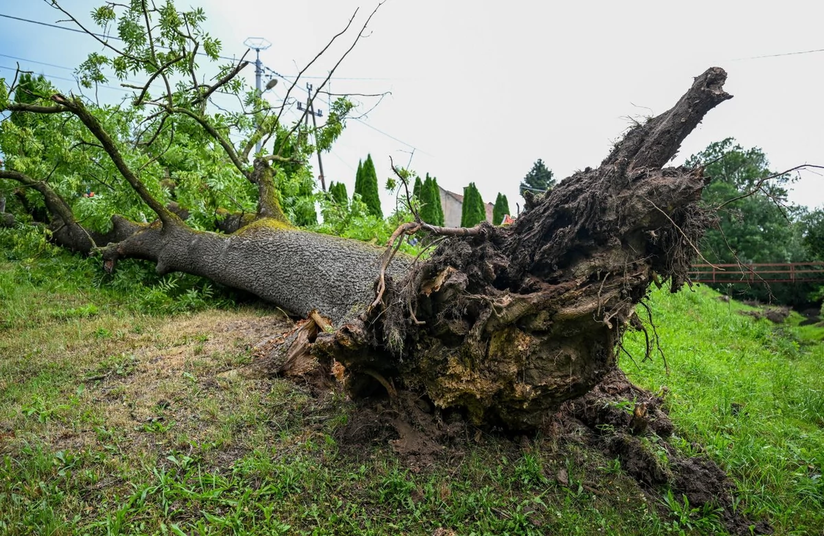  Burzowa sobota w całym kraju. 1595 interwencji strażaków