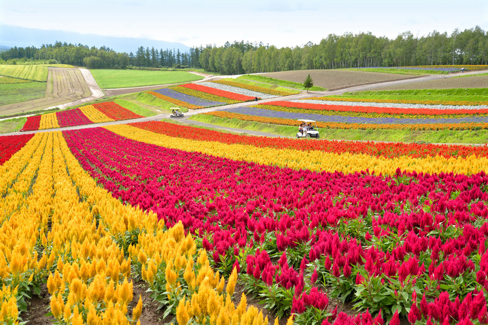 1. Hokkaido, Japonia