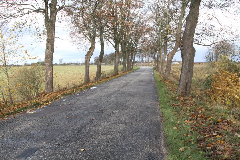 Maciej Sz. twierdzi, że gdyby droga była równa, nie trafiłby Grzegorza G.