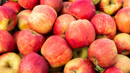 Odmiany jabłek - które najzdrowsze? Jakie jabłka dodać do ciasta, a jakie jeść na surowo?