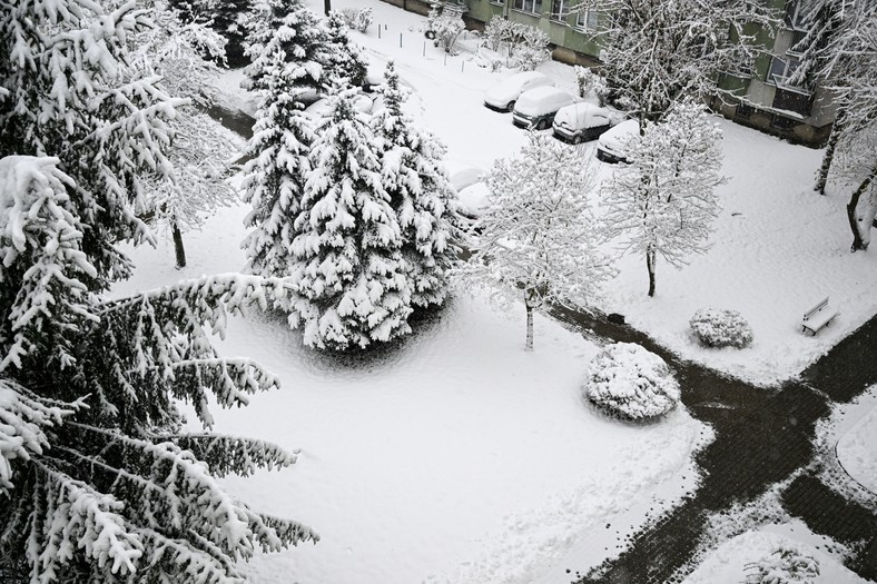 Przemyśl pod śniegiem