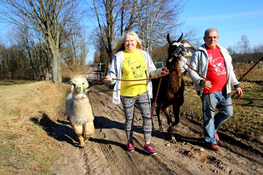 Niezwykłe gospodarstwo agroturystyczne na Kaszubach