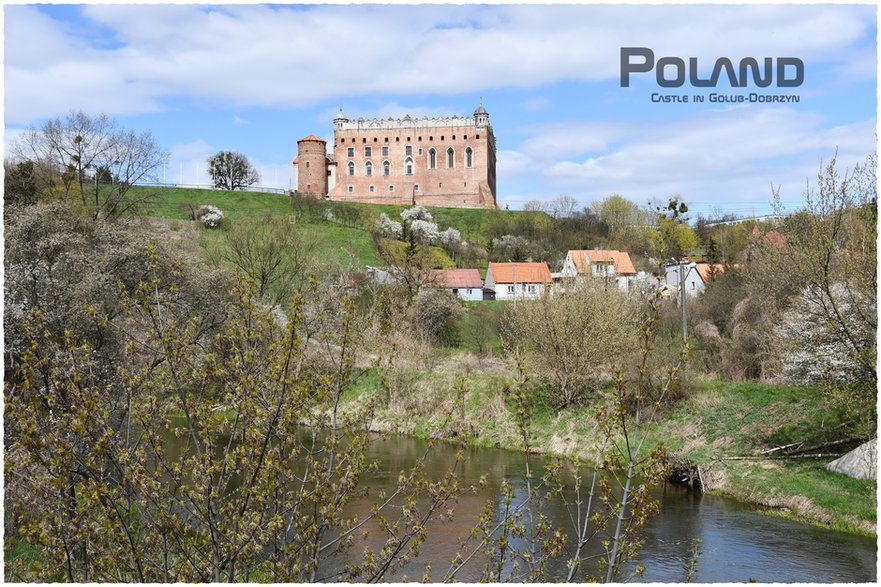 Zamek Krzyżacki w Golubiu, stan obecny