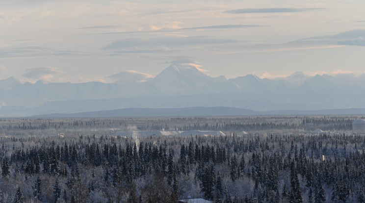 Az alaszkai himlő először 2015-ben okozott fertőzést emberben Fairbanks közelében /illusztráció: Northfoto