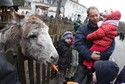 Szopka bożonarodzeniowa na Bielanach